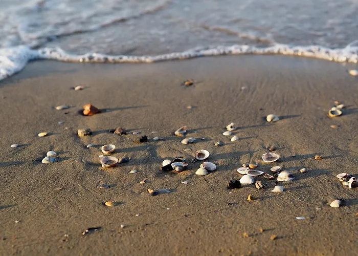 Peaceful Flat In The Heart Of - Beahost *